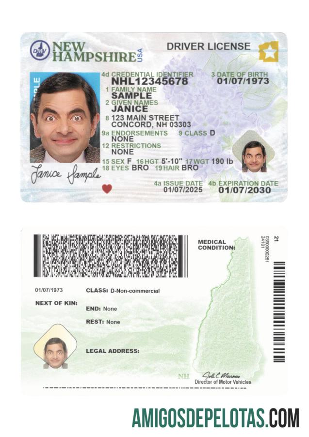 Carta de condução dos EUA em New Hampshire 2025 presente baixar para verificação